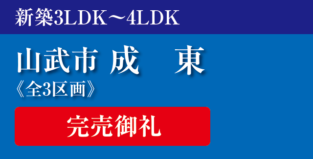 山武市成東新築戸建分譲