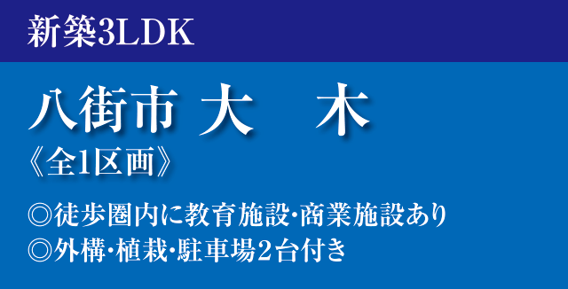 八街市大木新築戸建て分譲